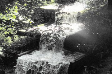 Wassertreppe in Planten un Blomen.