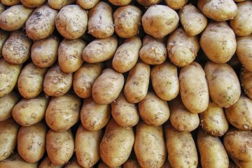 Dieses ungewöhnliche Motiv musste festgehalten werden, aufgestapelte Kartoffeln auf dem Wochenmarkt.