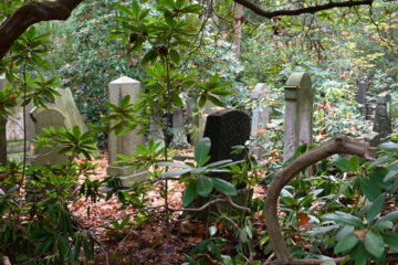 Wolfgang Scheffler - Jüdischer Friedhof Ohlsdorf 31.10.2021 - Alte Gräber