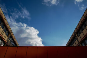 Regina Stötera - City Nord 02.11.2021 - Blick nach oben, mit einem Hauch Orange