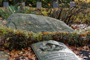 Matthias - Ohlsdorfer Friedhof Regen 07.11.2021 - Blutbuche