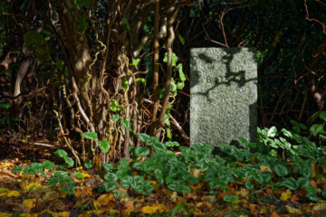 Matthias - Ohlsdorfer Friedhof Regen 07.11.2021 - Bobo