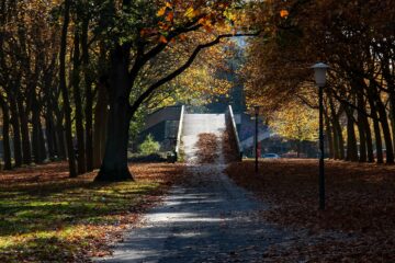 Regina Stötera - City Nord 02.11.2021 - Der Weg zur Brücke