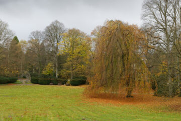 Matthias - Ohlsdorfer Friedhof Regen 07.11.2021 - Die Wiese