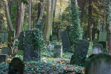 Bodo Jarren - Jüdischer Friedhof Ohlsdorf 31.10.2021 - Efeu überall