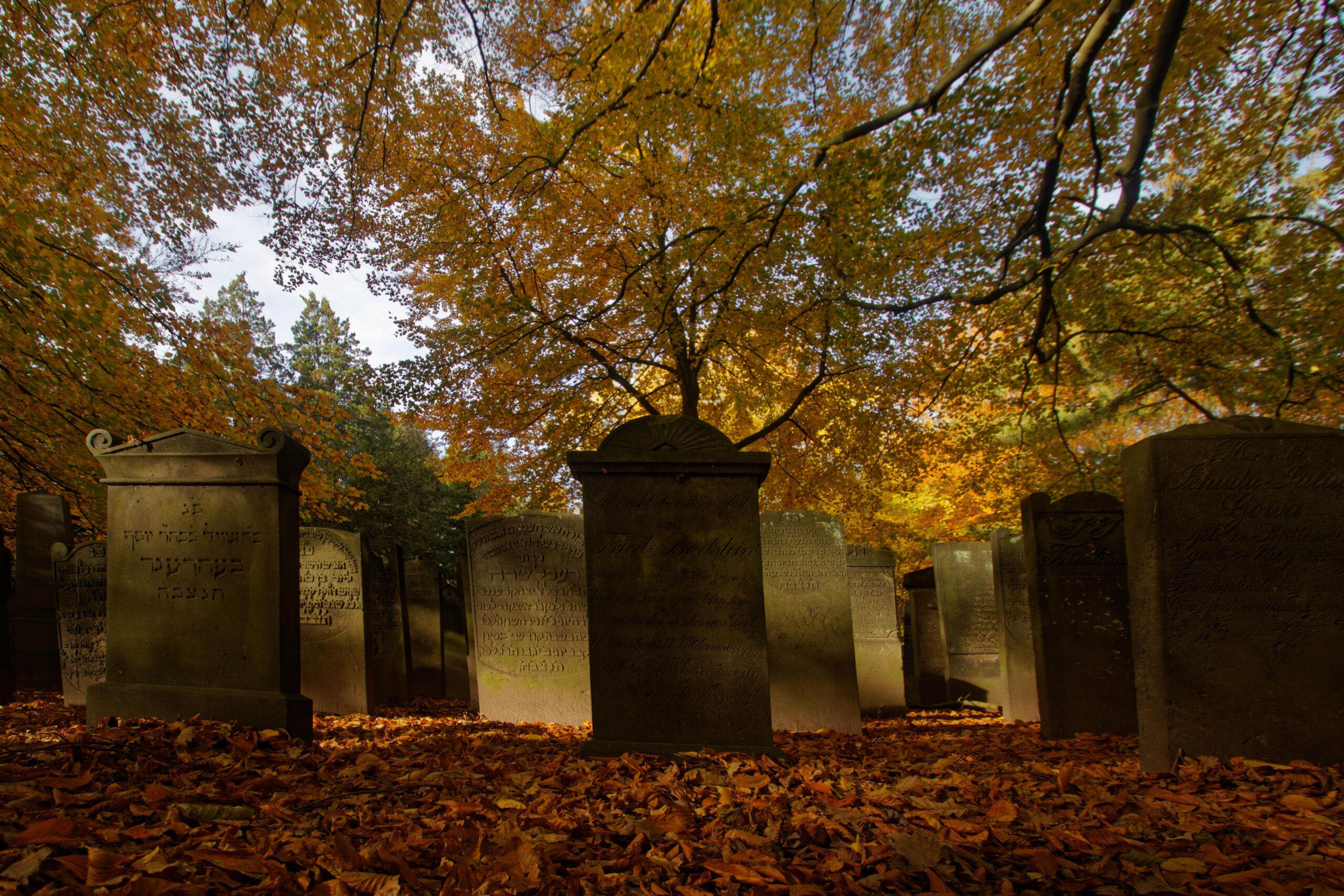 Bodo Jarren - Jüdischer Friedhof Ohlsdorf 31.10.2021 - Herbstlicher Blick