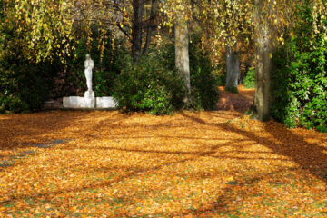 Matthias - Ohlsdorfer Friedhof Regen 07.11.2021 - Herbstzeit