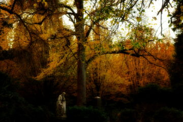 Neydhart Gierling - Ohlsdorfer Friedhof Regen 07.11.2021 - Ohlsdorfer HerbstFeeling