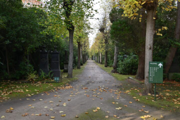 Petra Scheffler - Jüdischer Friedhof Ohlsdorf 31.10.2021 - Ruhe