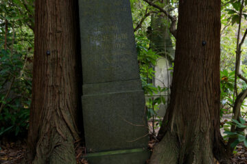 Matthias - Jüdischer Friedhof Ohlsdorf 31.10.2021 - Starke Schultern