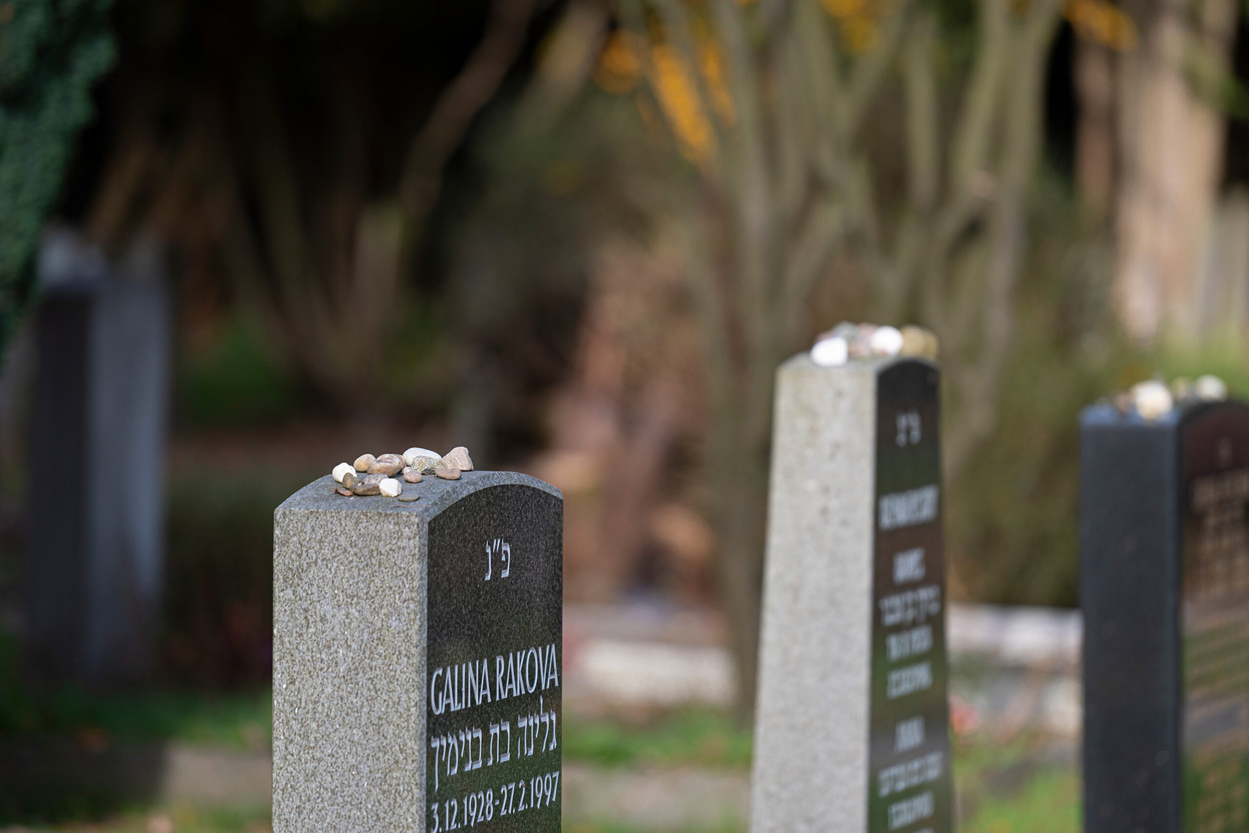 Joachim Klein - Jüdischer Friedhof Ohlsdorf 31.10.2021 - Steine der Erinnerung