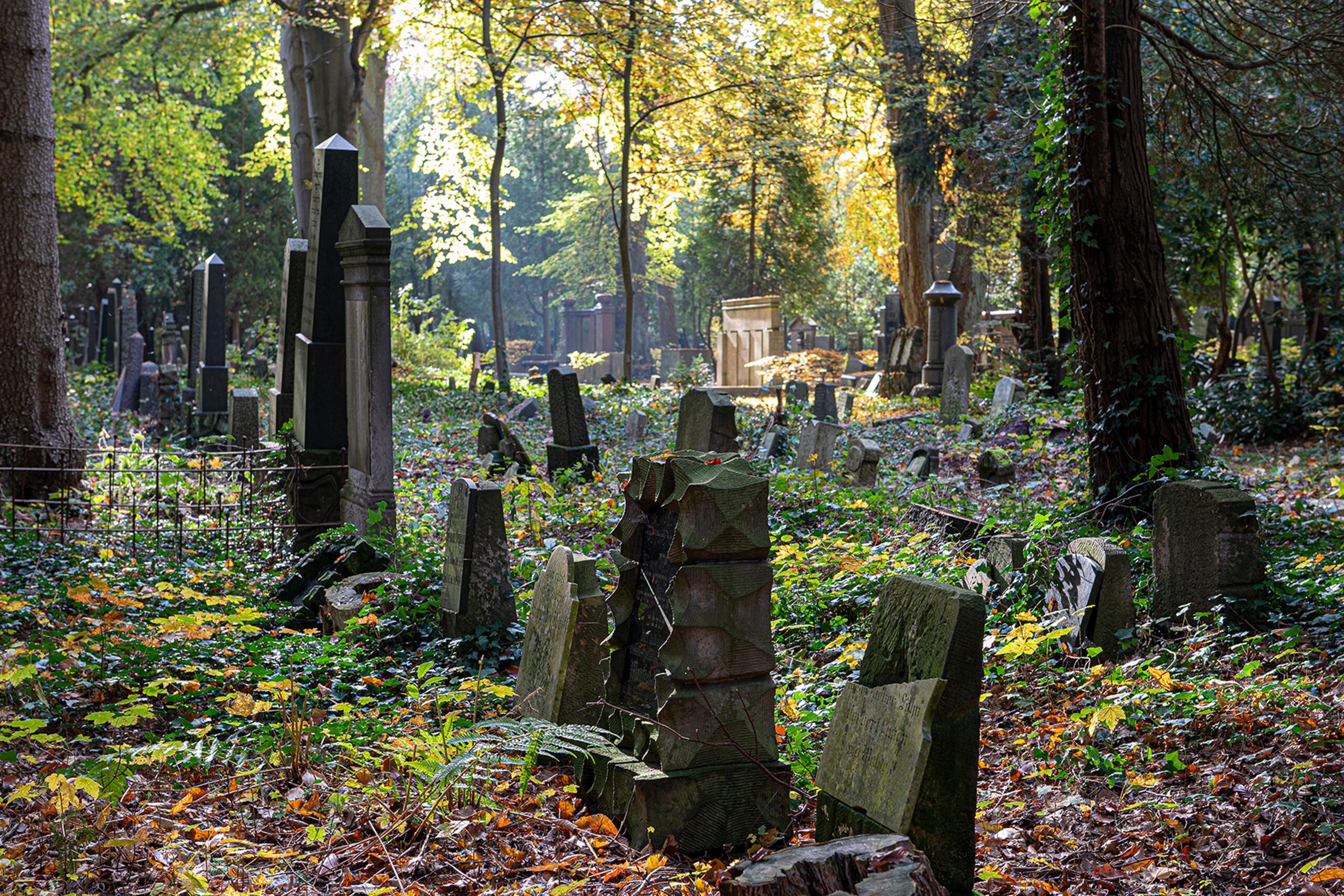 Joachim Klein - Jüdischer Friedhof Ohlsdorf 31.10.2021 - Überwuchert