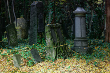 Bodo Jarren - Jüdischer Friedhof Ohlsdorf 31.10.2021 - Unterschiedlich