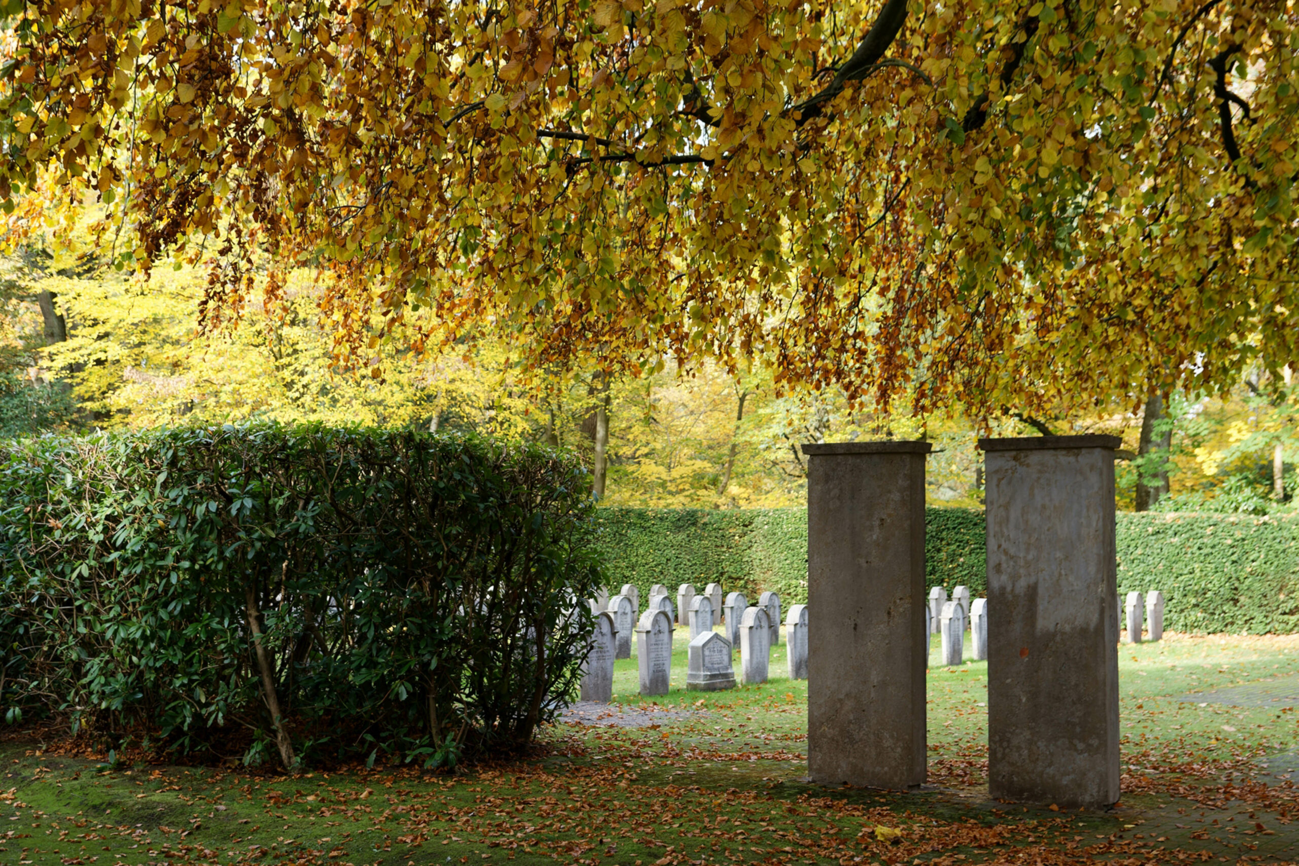 Matthias - Jüdischer Friedhof Ohlsdorf 31.10.2021 - WK 1