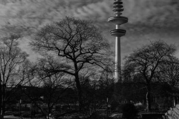 Brigitte - Planten un Bloomen mit Glaskugel 12.02.2021 - Hamburger Ansichten