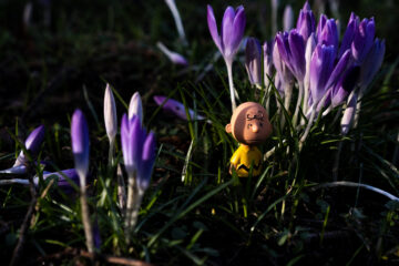 Brigitte - Planten un Bloomen mit Glaskugel 12.02.2021 - Jetzt ist Feierabend