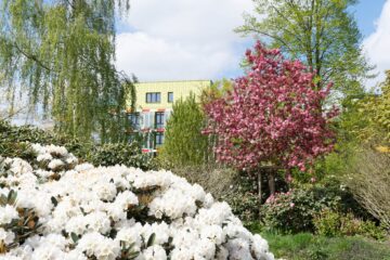 Matthias - 1. Dienstag Wilhelmsburger Inselpark 03.05.2022 - Viele Blüten