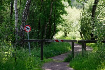 Bodo Jarren - Wittmoor 11.06.2022 - Da steht was im Weg