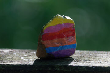 Bodo Jarren - Wittmoor 11.06.2022 - Ein Harzstone ausgesetz