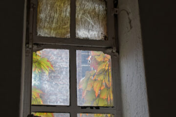 Matthias - Falckenberg 14.08.2022 - Fensterblick