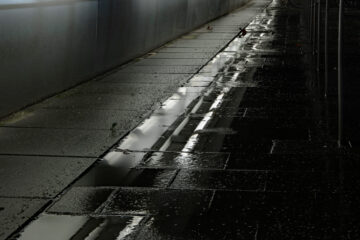 Hans Stötera - Straßenbeleuchtung I 12.01.2023 - Nach dem Regen 3