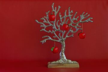 Bodo Jarren - Produktfotografie 04.02.2023 - Apfelbaum in Rot