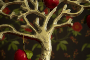 Hartmut Teschemacher - Produktfotografie 04.02.2023 - Apfelbaum