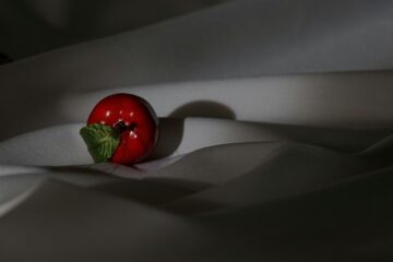 Bodo Jarren - Produktfotografie 04.02.2023 - Nur ein Apfel
