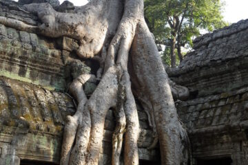 Konni - Challenge 73: 06.03 - 19.03.2023 - Ta Prohm Kel