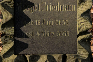 Bernd Mattern - Jüdischer Friedhof 07.02.2023 - 5656