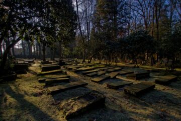 Bodo Jarren - Jüdischer Friedhof 07.02.2023 - Alte Gräber