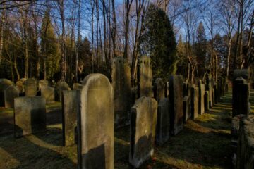 Bodo Jarren - Jüdischer Friedhof 07.02.2023 - Angeleuchtet