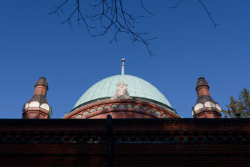 Matthias - Jüdischer Friedhof 07.02.2023 - Blick nach oben