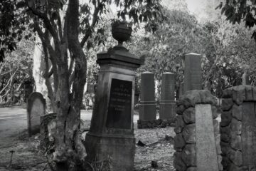 Susanne - Jüdischer Friedhof 07.02.2023 - Foto 3