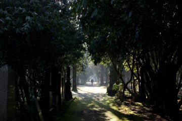 Susanne - Jüdischer Friedhof 07.02.2023 - Foto 4