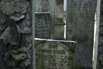 Susanne - Jüdischer Friedhof 07.02.2023 - Foto 5
