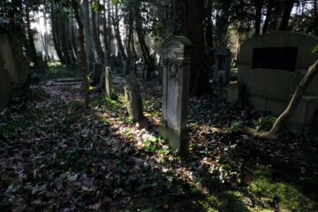 Susanne - Jüdischer Friedhof 07.02.2023 - Foto 7