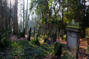 Susanne - Jüdischer Friedhof 07.02.2023 - Foto 8
