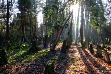 Susanne - Jüdischer Friedhof 07.02.2023 - Foto 9