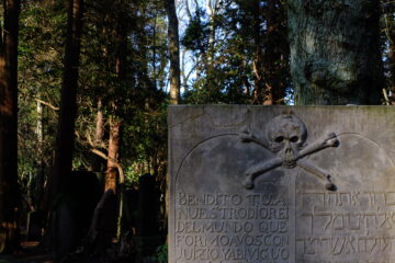 Susanne - Jüdischer Friedhof 07.02.2023 - Foto 1