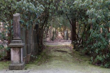 Matthias - Jüdischer Friedhof 07.02.2023 - Der Blick ins Weite