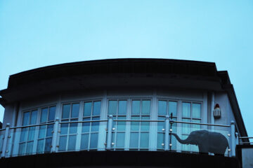 Sabine Poppe - Uhlenhorst 07.03.2023 - Elefant hat sich auf Balkon verirrt