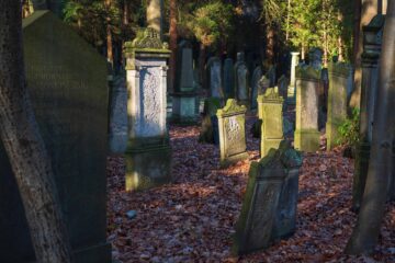 Peter Reinhold - Jüdischer Friedhof 07.02.2023 - Erleuchtung