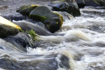 Susanne Wahl - Challenge 73: 06.03 - 19.03.2023 - Hochwasser an der Pinnau