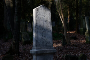 Matthias - Jüdischer Friedhof 07.02.2023 - Im Licht