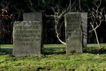 Matthias - Jüdischer Friedhof 07.02.2023 - Im Moos gebettet