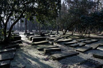 Matthias - Jüdischer Friedhof 07.02.2023 - Im Sonnenlicht