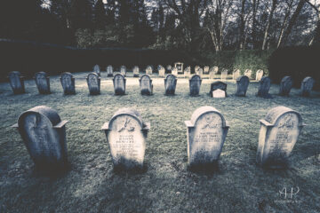 Annette Hanl - Jüdischer Friedhof 07.02.2023 - Foto 2