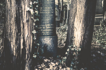 Annette Hanl - Jüdischer Friedhof 07.02.2023 - Foto 1