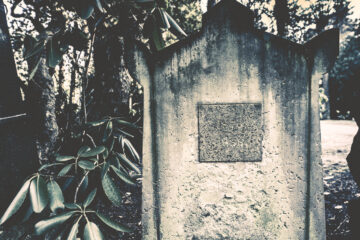 Annette Hanl - Jüdischer Friedhof 07.02.2023 - Foto 5